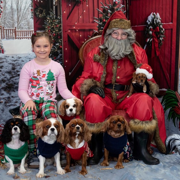 Meet your Posher, Angir - Picture 2 of 2